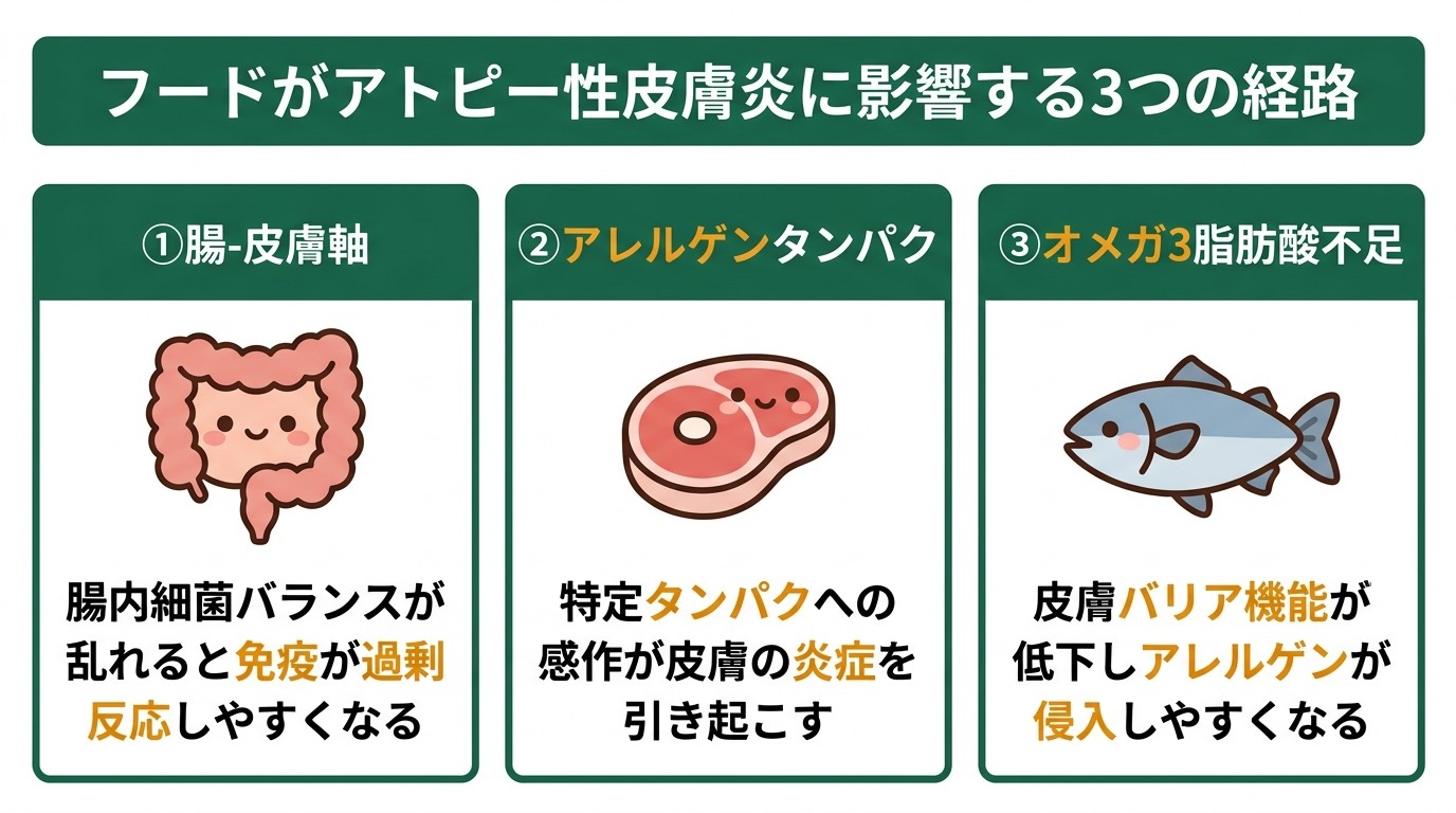 フードがアトピー性皮膚炎に影響する3つの経路のインフォグラフィック