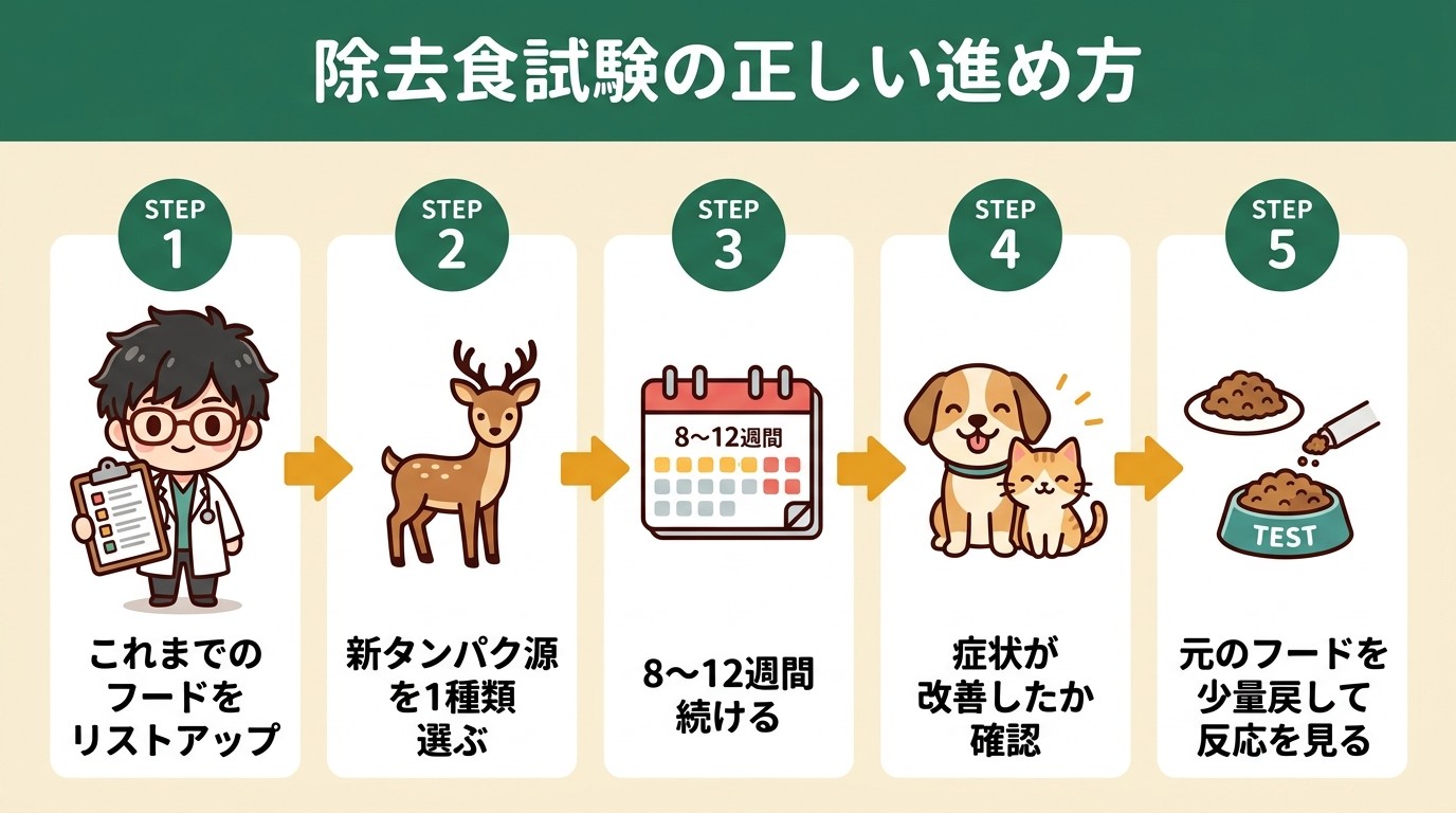 除去食試験の5ステップフロー図