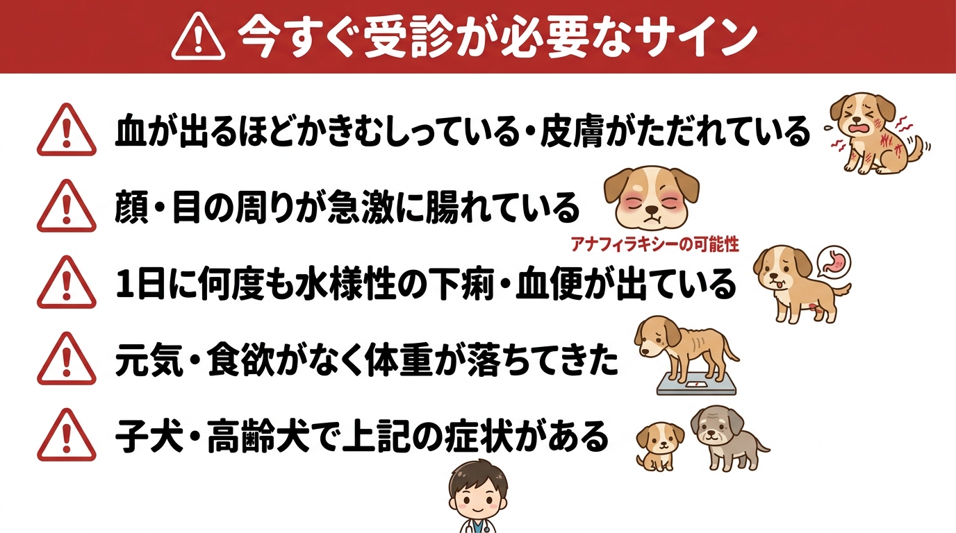 今すぐ受診が必要なサイン|5つの危険な症状