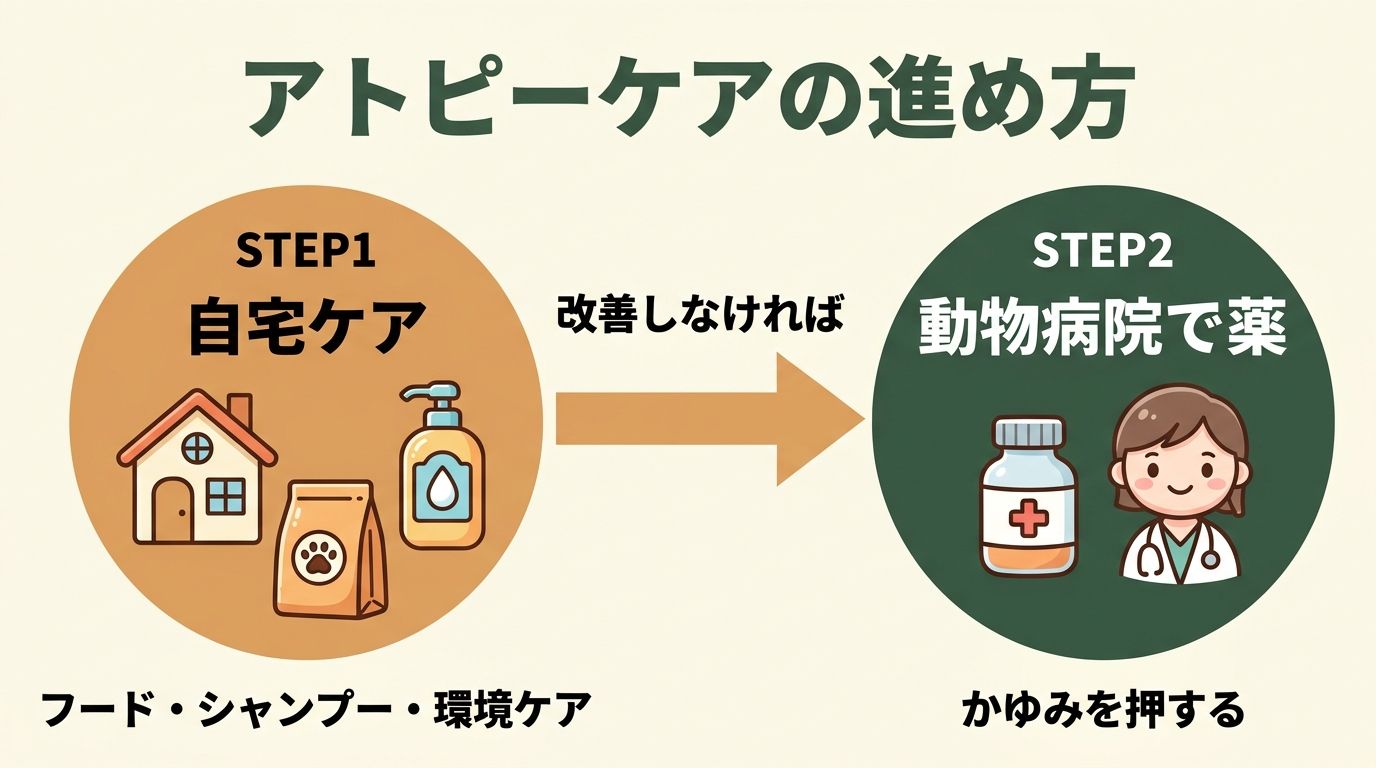 アトピーケアの進め方（自宅ケア→病院）