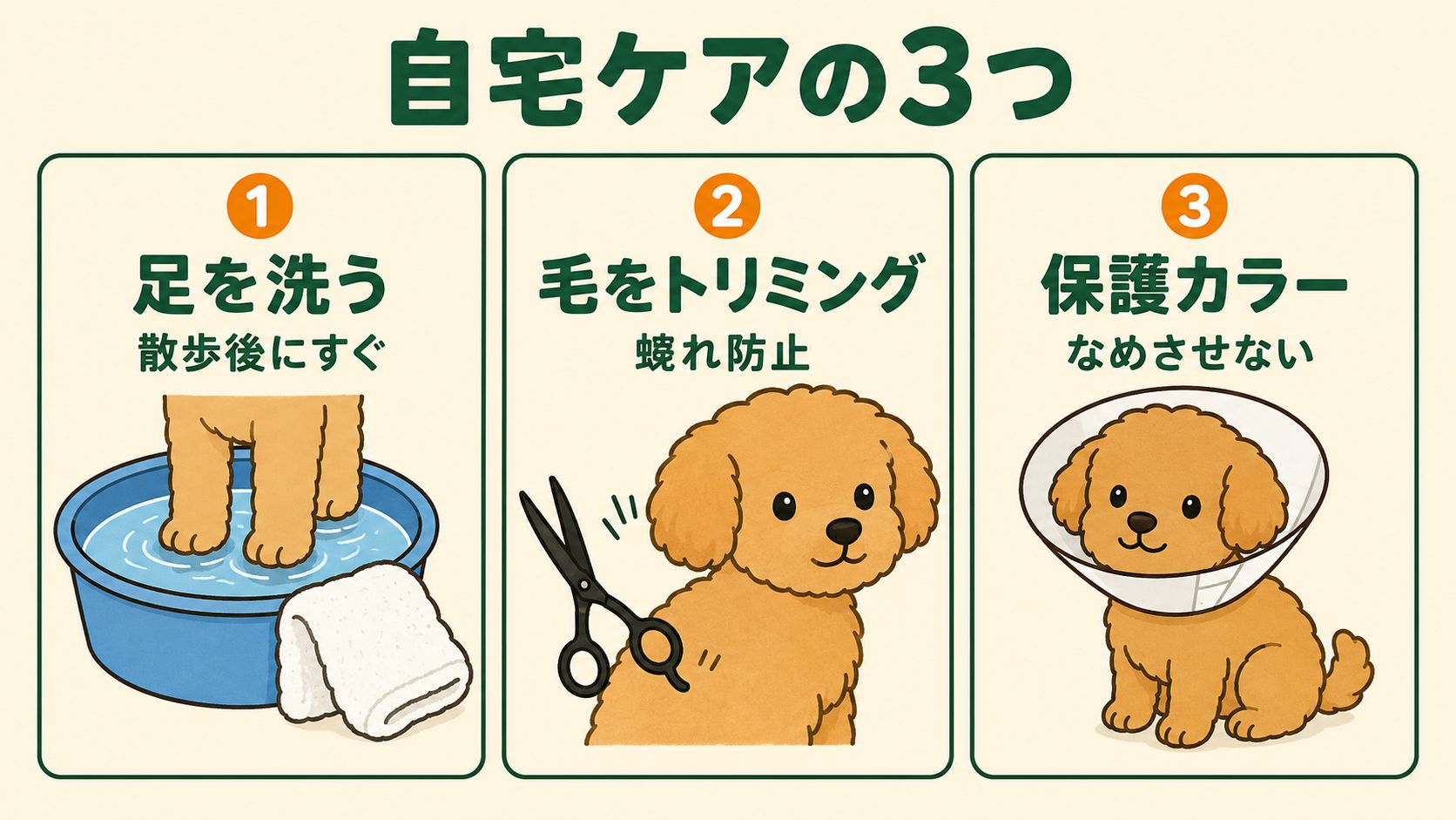 自宅ケアの3つ