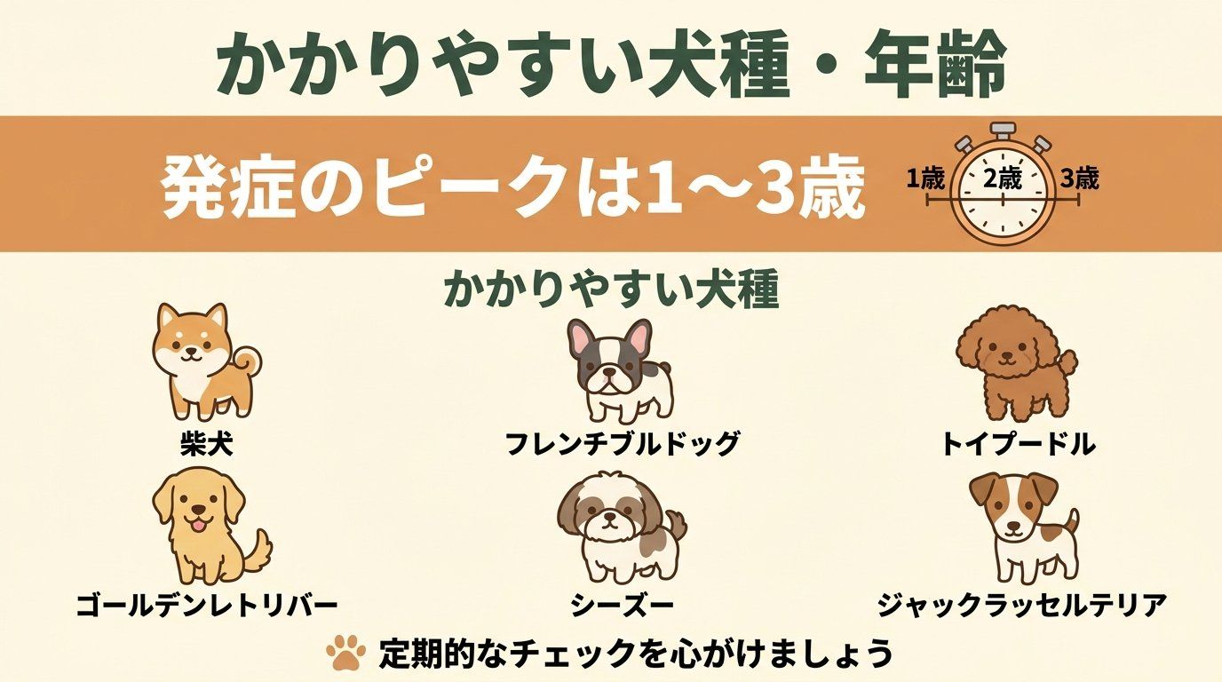 アトピー性皮膚炎にかかりやすい犬種・年齢