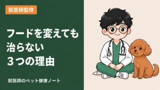 犬のアレルギーフードが効かない理由と正しい選び方｜現役の獣医師が解説