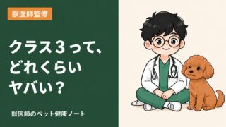 犬のアレルギー検査|「クラス3で飼える?」数値別の症状と対策を獣医師が解説