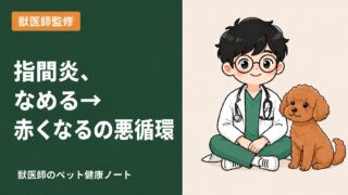 犬の指間炎|足が赤くてなめ続ける原因と自宅ケアを獣医師が解説