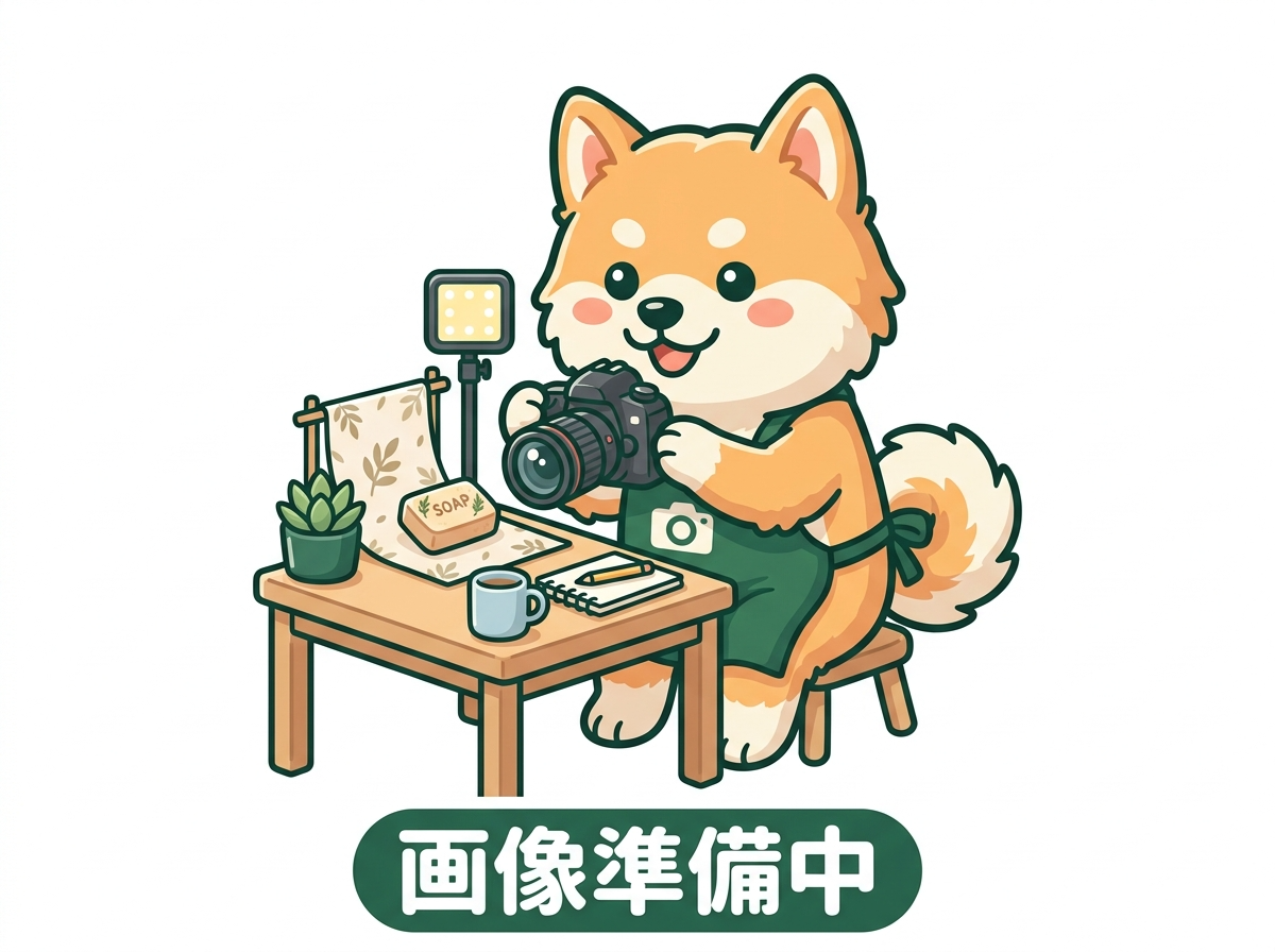 画像準備中
