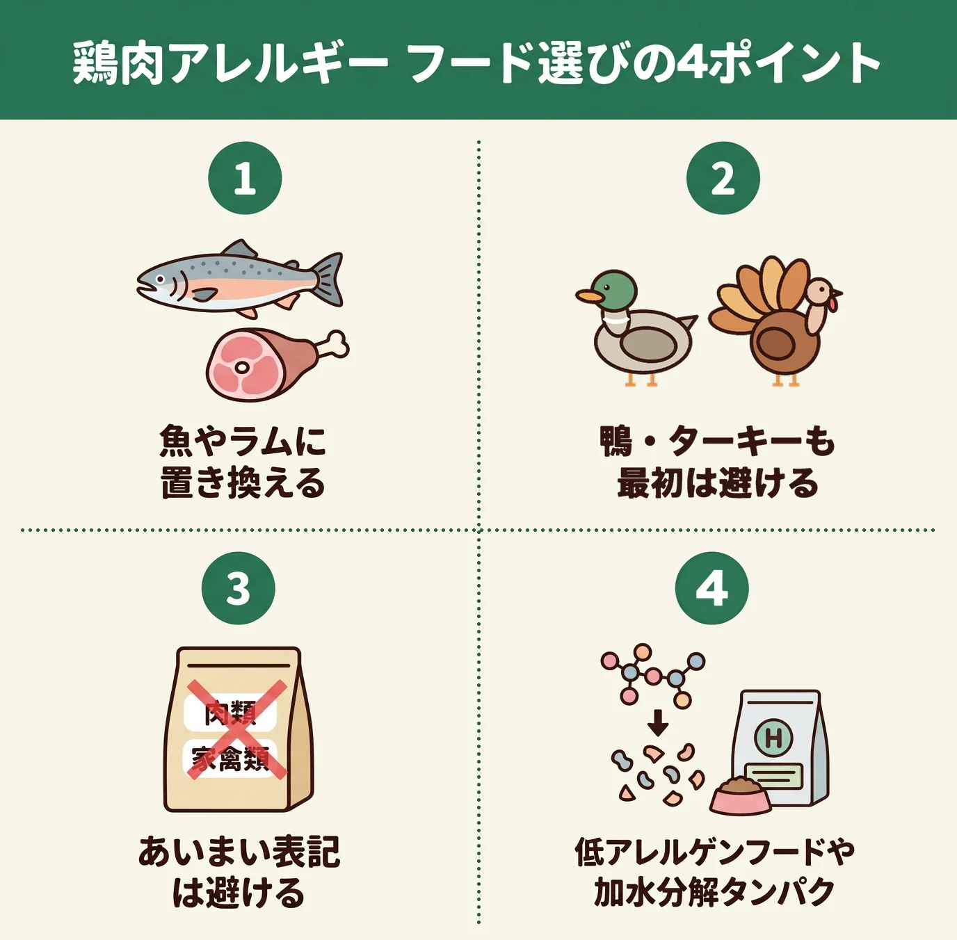鶏肉アレルギー｜フード選びの4ポイント