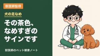 犬が足をなめて毛が茶色に…なめる理由と放置していいかを獣医師が解説