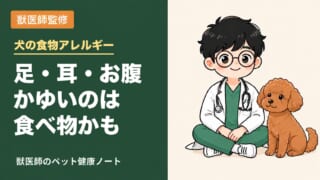 犬がやたら体をかく・足を舐める…食べ物アレルギーが理由かも?現役の獣医師が部位ごとに解説