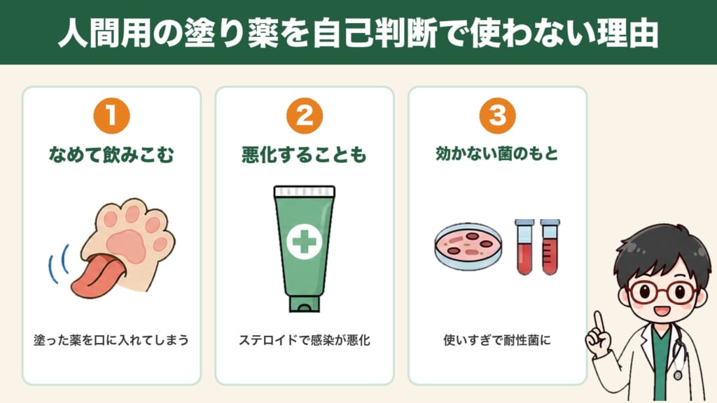 人間用の塗り薬を自己判断で使わない理由:なめて飲みこむ・ステロイドで悪化することも・耐性菌のもと