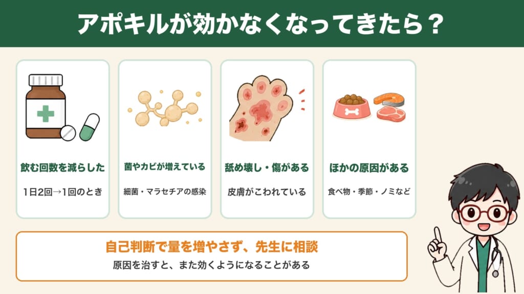 アポキルが効かなくなってきたときに考えること:飲む回数を減らした・菌やカビの感染・舐め壊し・食べ物や季節などほかの原因
