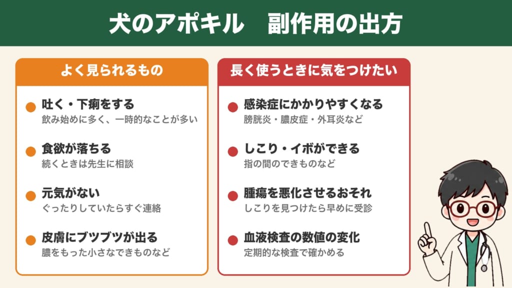 犬のアポキルの副作用:よく見られるもの(吐く・下痢・食欲が落ちる・元気がない)と、長く使うときに気をつけたいこと(感染症・しこり・血液検査)