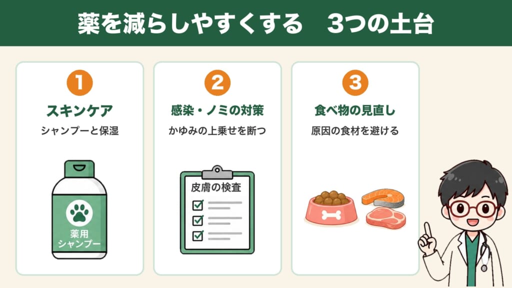 薬を減らしやすくする3つの土台：スキンケア・感染とノミの対策・食べ物の見直し