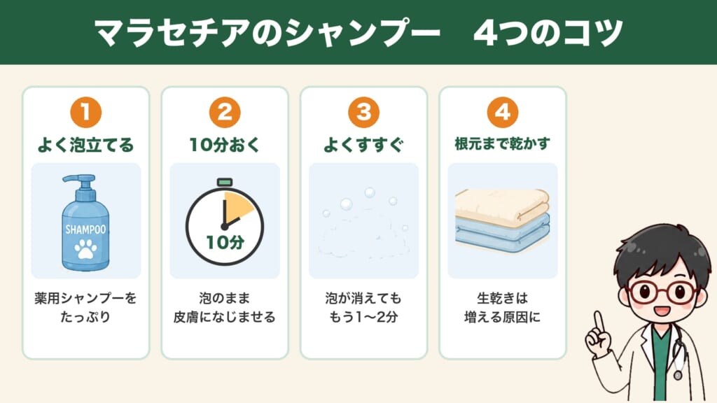 マラセチアのシャンプー4つのコツ:よく泡立てる・10分おく・よくすすぐ・根元まで乾かす