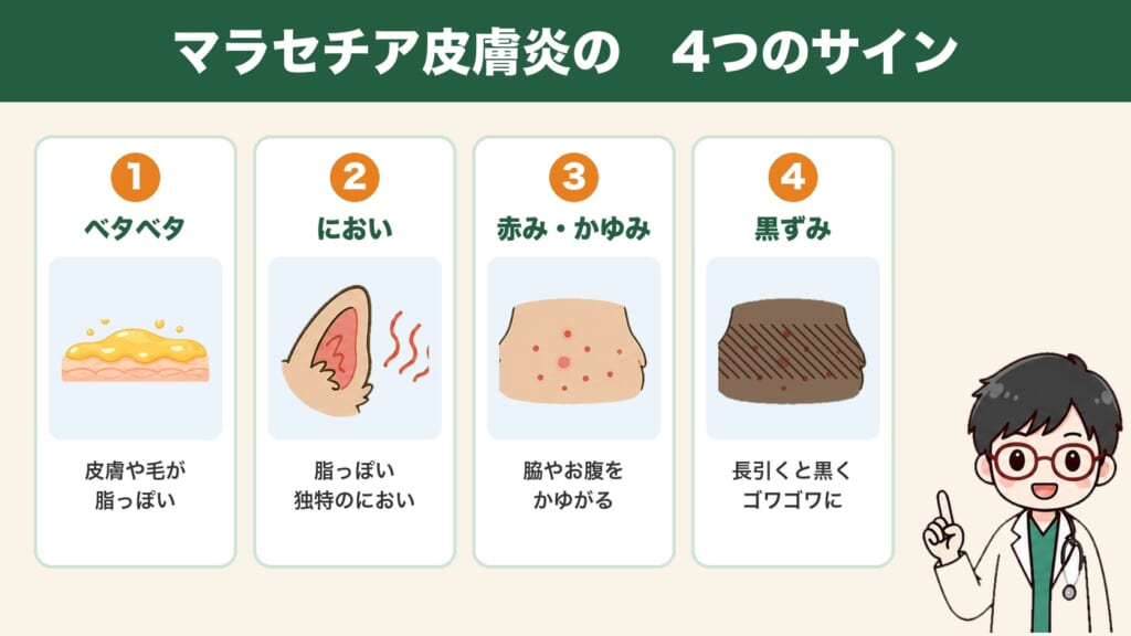 マラセチア皮膚炎の4つのサイン:ベタベタ・におい・赤みとかゆみ・黒ずみ